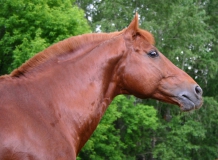 patrik002 patrik002