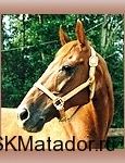 batist_th batist_th