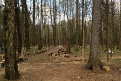remont050