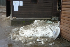 remont142