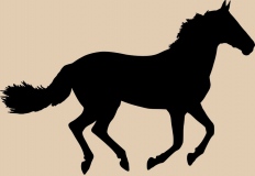 1_horse